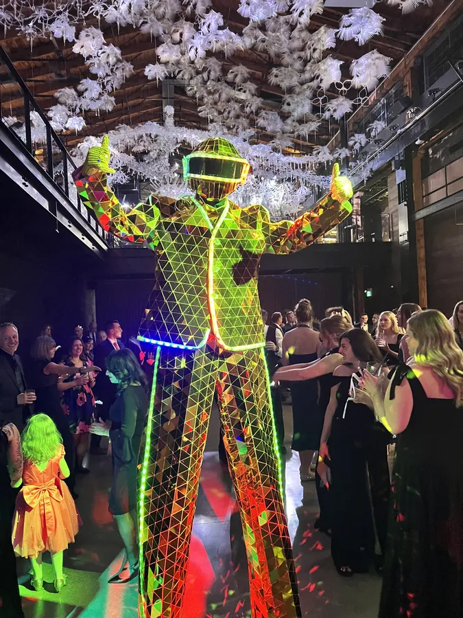 LED Robot gallery photo 15